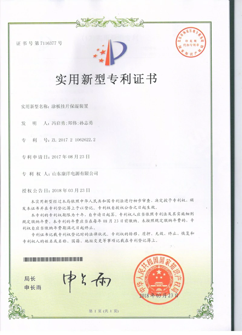 Patent certificate 9